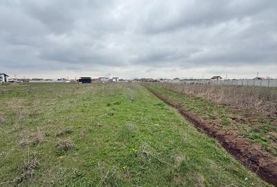 Teren agricol intravilan de 579 mp, în Clinceni - 3