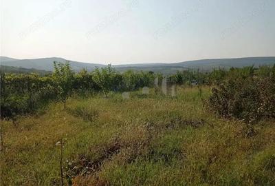 Tomesti - Cabana din lemn si Teren 1008mp intravilan - 1