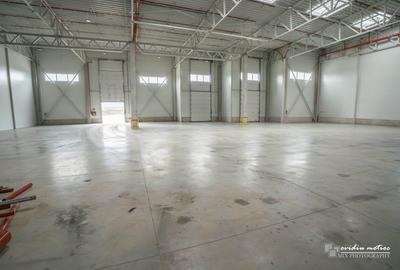 Hale depozitare langa autostrada - 7