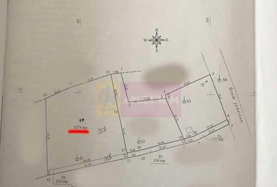 Teren intravilan de vanzare in Lunca Mare (la 10 km de Va... - 4