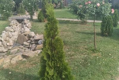 Casă cu 4 camere în Central - 4