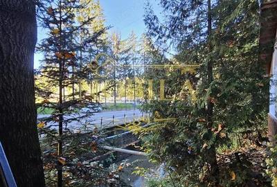 Spațiu comercial, de 700 mp, în Central - 17