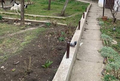 Casă individuală cu 2 camere cu Canalizare în Bună Ziua - 4