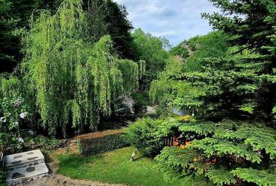 Casă cu 4 camere cu Teren 686 Mp în Vale - 2