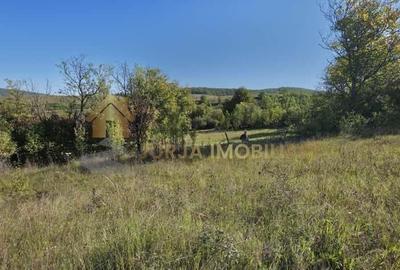 TEREN INTRAVILAN 11000 MP - 3