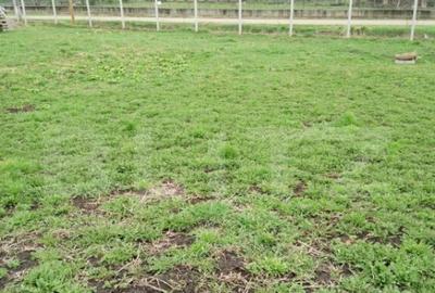 Teren intravilan de vanzare in Calarasi langa Turda! - 11