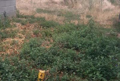 Teren de 589 mp, în Covaci - 4