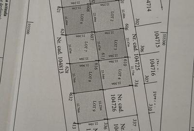 Spațiu comercial, în Tărlungeni - 2