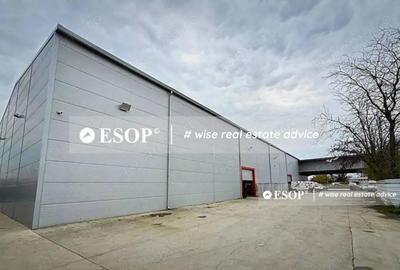 Spațiu comercial, de 2,450 mp, în Mogoșoaia - 4