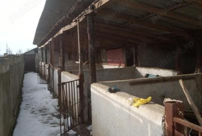 Casă cu 6 camere în Stejaru - 3