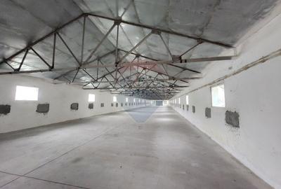 Spațiu industrial, de 683 mp, în Dârvari