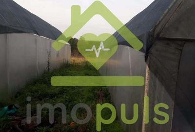 ? Teren intravilan in Jupani (Timis), 10,19 Euro/mp.? - 4