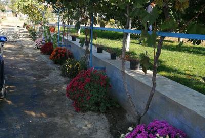 Casă cu 3 camere în Beștepe - 9