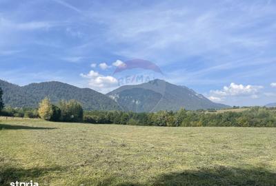 Teren de 850 mp, în Bran - 2