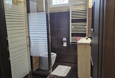 Apartament cu 2 camere decomandat, mobilat în Bucureștii Noi - 6
