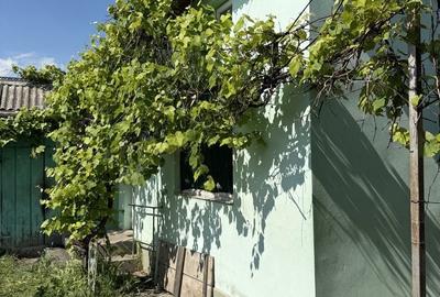 Casă cu 2 camere în Dumbrăveni - 5