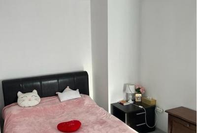 Apartament cu 2 camere semidecomandat, mobilat în Tineretului - 3