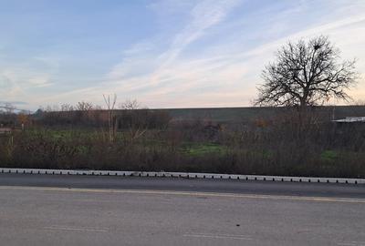 Teren în Cornetu - 3