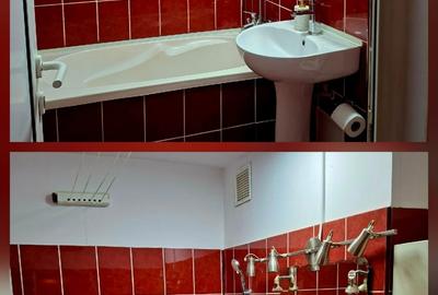 Apartament cu 2 camere semidecomandat, mobilat în Craiovei - 7