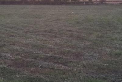 Spațiu comercial, în Cărpiniș - 27