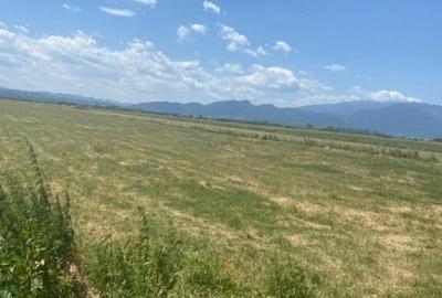 Teren de 1004 mp, în Râșnov - 2