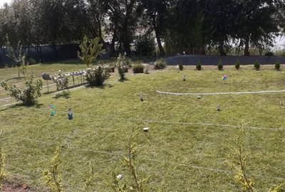 HORIA - 3 CAMERE ,SUPRAFATA 100 MP,TEREN 3000 MP CU DESCHIDE - 4