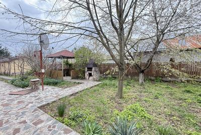 Casa cu livada Izvorani la 300m de Lacul Snagov asfalt si utilitati - 1