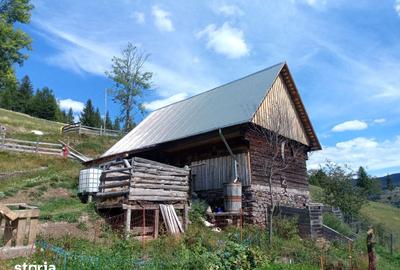 Teren de 56000 mp, în Arieșeni - 8