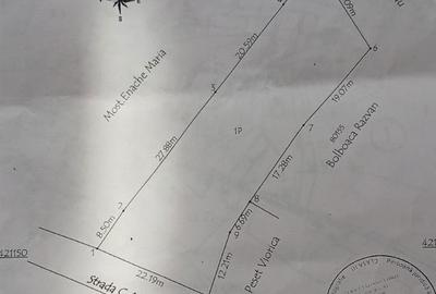 Spațiu comercial, în Pietroasa - 1