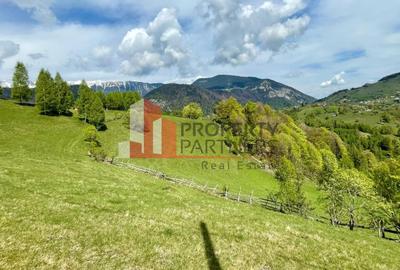 Teren in sat Pestera, comuna Moeciu. - 6