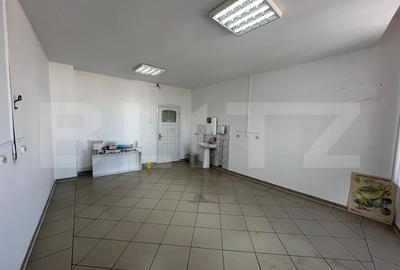 Imobil de inchiriat, 329 mp, Centru Vechi - 12 camere - 18