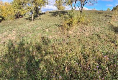 Spațiu comercial, în Sânbotin - 7