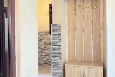 Apartament cu 2 camere decomandat, mobilat în Nicolina - 20