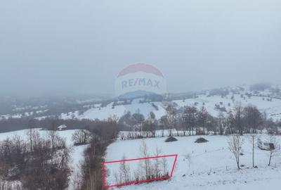 Teren 500 mp între Perdeluț și Tohanul Nou - 12