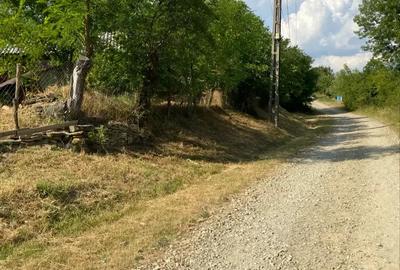 Vand casa Batraneasca - 7