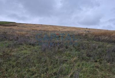 Oportunitate de investitie! Teren extravilan 11 400 mp, Apahida - 5