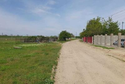 Spațiu comercial, în Letea Veche - 3