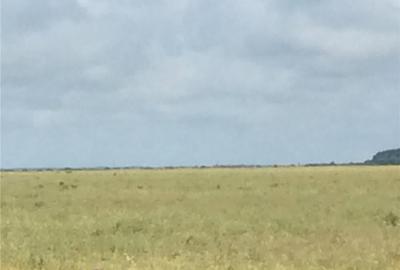 Teren în Central - 1