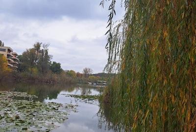 OAZA DE LINISTE SI RAFINAMENT LA MALUL LACULUI - 8