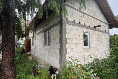Casă cu 3 camere cu Teren 2000 Mp în Produlești - 10
