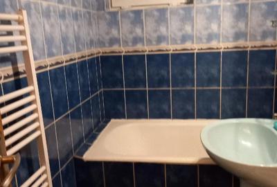 Apartament cu 2 camere semidecomandat în Craiovița Nouă - 2