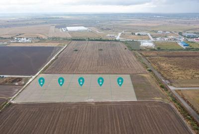 Teren Industrial Zona Șagului- 30 eur mp Teren Industrial Zona Șagului- 30 eur mp - 3