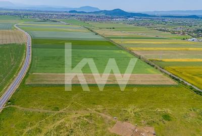 Teren de vanzare I 8 Euro/ mp I Deschidere la drum - Harman Teren de vanzare I 8 Euro/ mp I Deschidere la drum - Harman - 17