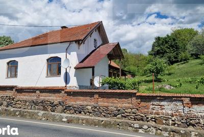 Casă cu 4 camere cu Teren 3166 Mp în Burjuc - 18