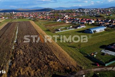 Teren de 3000 mp, în Bod - 4