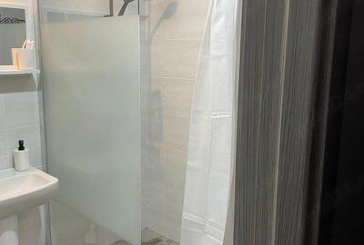 Apartament cu 2 camere decomandat în Abator - 5