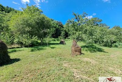 Casa de vanzare in zona Vintu cu 10.790 mp teren - 13