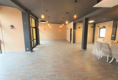 Vila, Iancu Nicolae 82, ideala pt birou, spa, educational, rezidential - 9