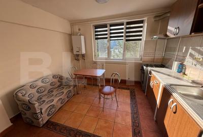 Apartament, 2 camere, 55 mp, zona Iulius Mall - 8