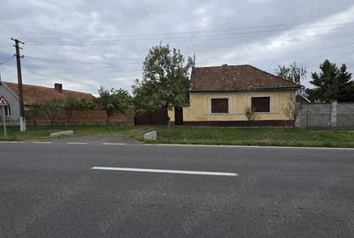 Casă cu Teren 2500 Mp în Turnu